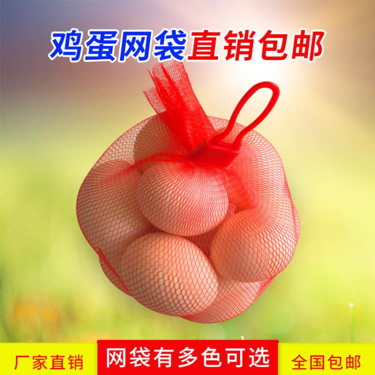 120孔30cm8-10枚装鸡蛋网袋带小扣多色可选厂家直销1