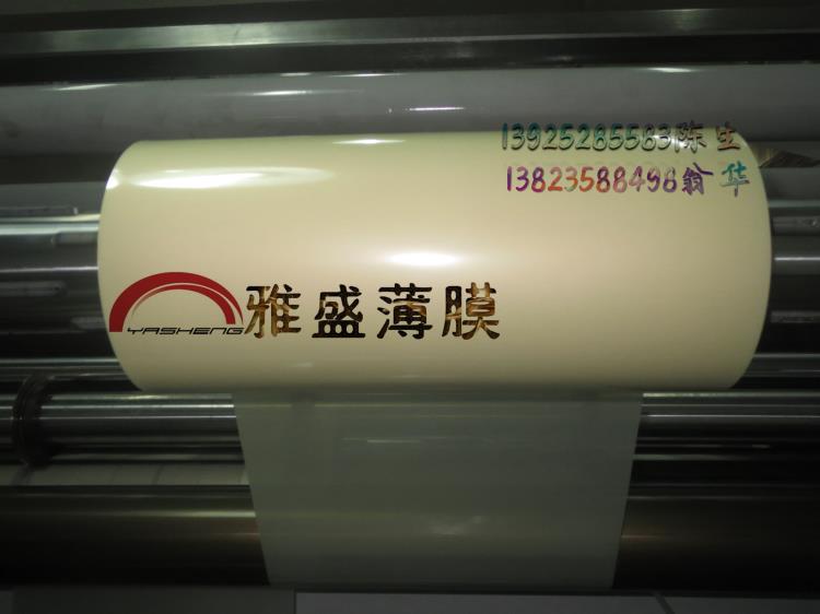 东丽PET电机膜   电机膜
