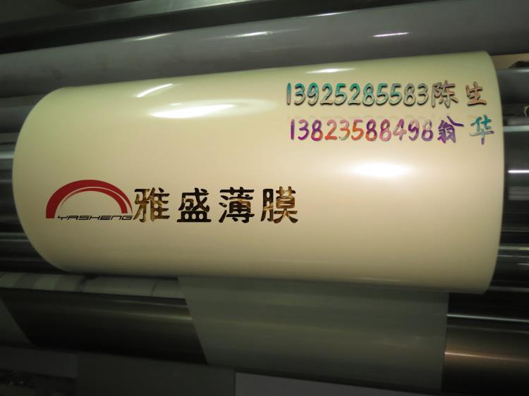 东丽PET电机膜   电机膜